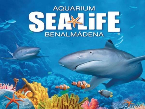 Sea View Studio Apartment Benalmadena Ngoại thất bức ảnh